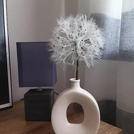 Apartment Ferienwohnung Hofmann *